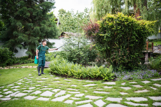 Best Pest Removal Services  in East Cleveland, OH