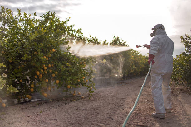 Best Pest Control for Homes  in East Cleveland, OH