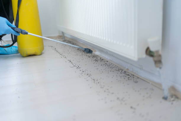 Best Affordable Pest Control Services  in East Cleveland, OH